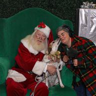 Kikuchiyo sits on Santa's lap at Queens Center Mall