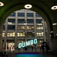 Each of these lights in the Manhattan Bridge underpass contains a speaker broadcasting an endangered language. 