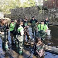 Dominick Margolas (facing the camera in a green t-shirt) and his classmates count glass eels in Staten Island's Richmond Creek.