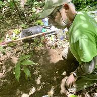 Bart Chezar planting an American Chestnut sapling in Prospect Park. 