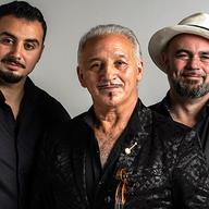 Dorado Schmitt and Sons