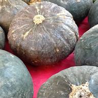 Kabocha squash