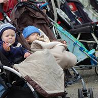 babies in strollers