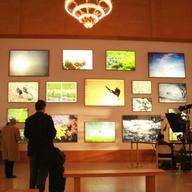 The show is displayed in two atriums, one representing vibrancy and the other, serenity. The images on the far walls are eye-catching thanks to the use of a lightbox technique
