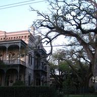Beautiful trees and homes in New Orleans Upper Garden District.