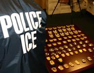 ICE, immigration and customes enforcement