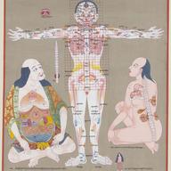 "Anatomy–Vulnerable Points"