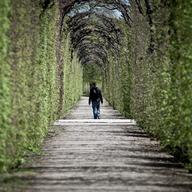 man walking under trees in park in Vienna, Austria