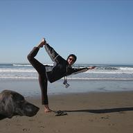 dog yoga