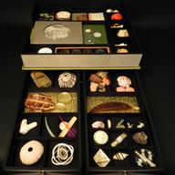 Barbara Hodgson's specialty art book holds shells, feathers, engravings and other artifacts.
