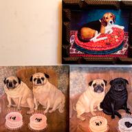 Portraits of Dogs that Mimi Vang Olsen has painted hanging in her West Village studio.