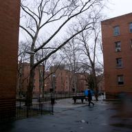 public housing, projects, NYCHA