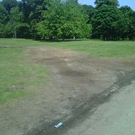 A few patches of brown grass remain a week after GoogaMooga festival vendors set up at this location near Nethermead in Brooklyn's Prospect Park.