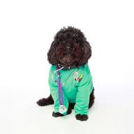 Baldwin the pulik dressed for work.Baldwin the Puli dressed for work.