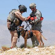 Left, 1st Sgt. Dean Bissey hooks the hoist harness to Staff Sgt. Michael Hile and his military working dog "Rronnie", July 15 near Bagram Airfield, Afghanistan.