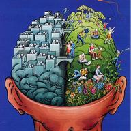 brain