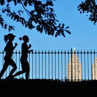Joggers in Central Park