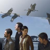 The Blue Cranes