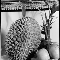 The Durian.