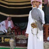 A young falconer from United Arab Emirates poses at the Third International Festival of Falconry.