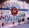 Radio Rookies Harlem