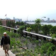 highlineped.jpg
