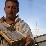 Beekeeper Andrew Coté