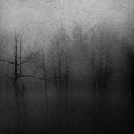 night fog