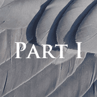 The Requiem Project: Part 1