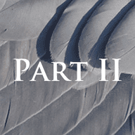 The Requiem Project: Part 2