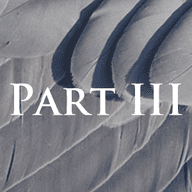 The Requiem Project: Part 3