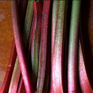 Rhubarb