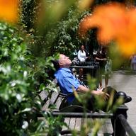 Soaking in the sun at Union Square park on a sweltering day in June, heat, hot