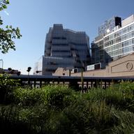 Apartment and office buildings overlooking the High Line.