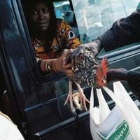 chicken being handed out of a car
