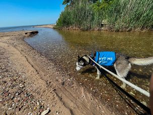 Victory at the Staten Island shore
