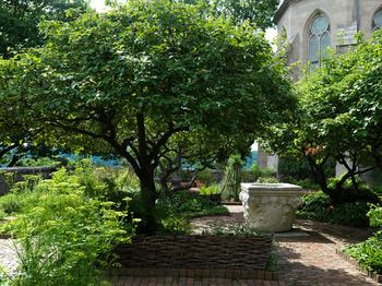 View of the Bonnefont Cloister at the Cloisters Museum and Gardens