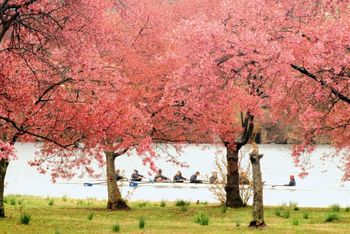 Rowers make their way down the placid Schuylkill river.