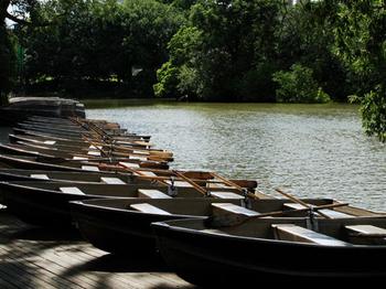 Rowboats assembled for Persephassa