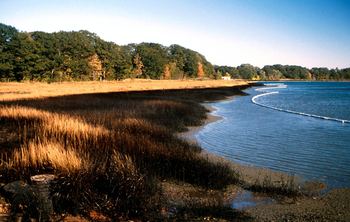 Oil covers the marshes of Portland, Oregon after the 1996 Julie N. oil spill.