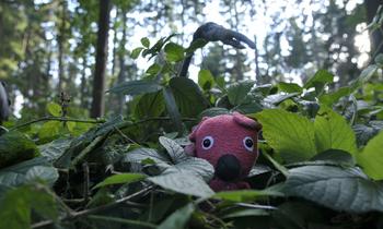 The festival includes the New York premiere of "Kooky" by the Czech Oscar-winning director Jan Sverák.