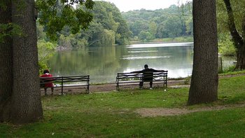 Van Cortlandt Park, Bronx: Picnics, Sports & Family Fun