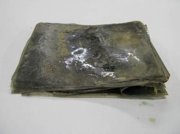 The negatives, recovered by the trust in 2013, have been painstakingly conserved to reveal never-before-seen Antarctic images.