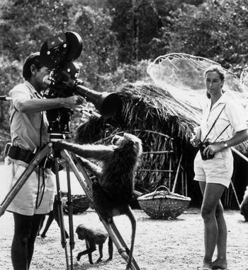 26th January 1974: Full-length portrait of British zoologist Jane Goodall watching her photographer husband, Baron Hugo Von Lawick, adjust a camera, to which a baboon is clinging. East central Africa