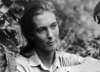 Jane Goodall, English primatologist, ethologist, and anthropologist, c. 1976