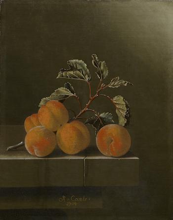 Adriaen Coorte. Still Life with Five Apricots, 1704.