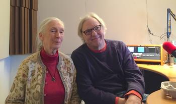 Dr. Jane Goodall in the studios of WNYC Radio with Takeaway Host John Hockenberry.