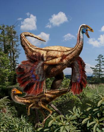 <em>Ornithomimus</em>