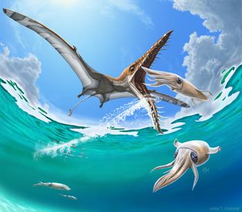 <em>Fisheye view of Rhamphorhynchus gleaning squid</em>