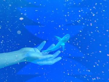 A human hand releasing a small, baby, shark.
